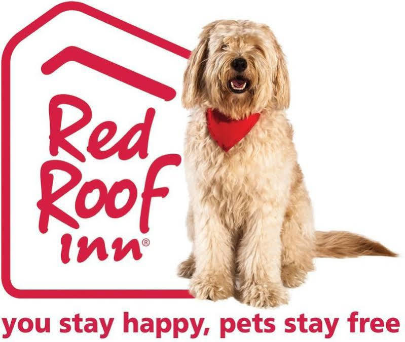 Red Roof Inn Cleveland Airport - Middleburg Heights Kültér fotó